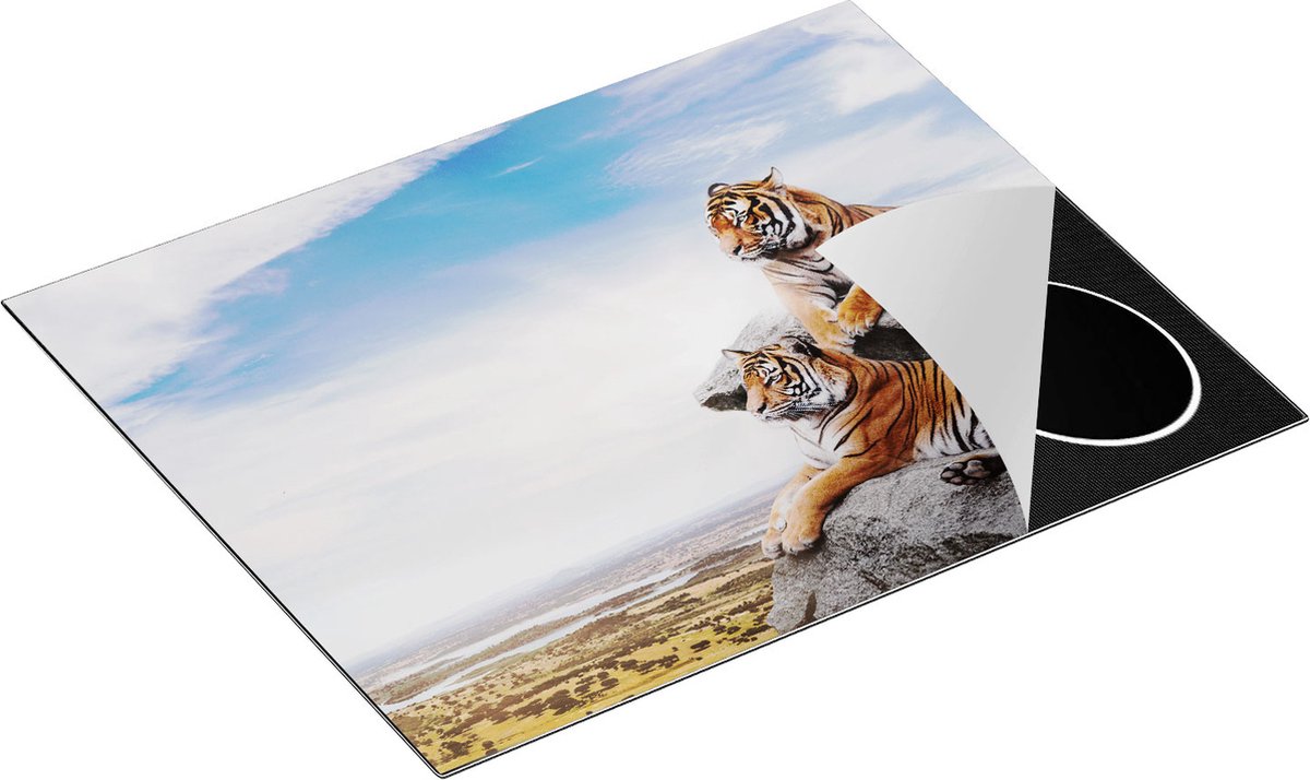 Chefcare Inductie Beschermer Twee Tijgers op Rotsen met het Blauwe Lucht - 65x50 cm - Afdekplaat Inductie - Kookplaat Beschermer - Inductie Mat