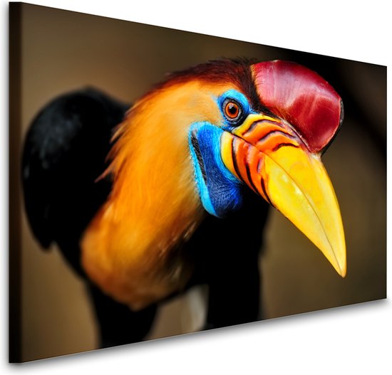 Schilderij - Nieuwsgierige neushoornvogel, premium print, wanddecoratie, zeer stevig verpakt geleverd , Dieren