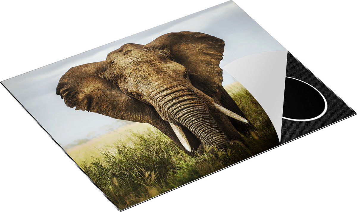 Chefcare Inductie Beschermer Olifant in het Wild - Kleur - 65x50 cm - Afdekplaat Inductie - Kookplaat Beschermer - Inductie Mat