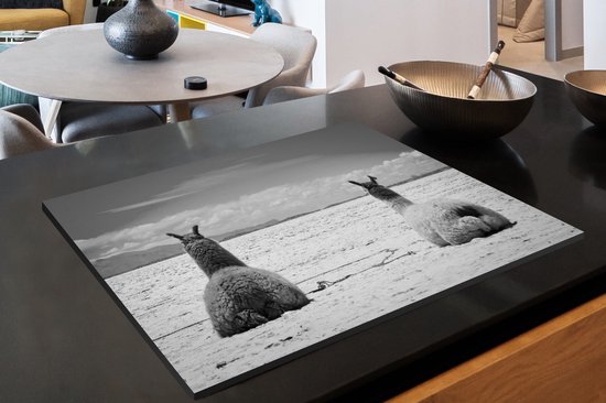 KitchenYeah® Inductie beschermer 76x51.5 cm - Rustende lama's op een zand vlakte - zwart wit - Kookplaataccessoires - Afdekplaat voor kookplaat - Inductiebeschermer - Inductiemat - Inductieplaat mat
