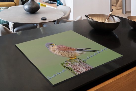 Een torenvalk op een paaltje met prikkeldraad, op een kookplaat.