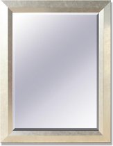 Spiegel Bergen Zilver - 55x135 cm