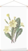 Sleutelbloem (Prim Rose) - Foto op Textielposter - 40 x 60 cm