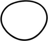 Volvo O-Ring (956000)