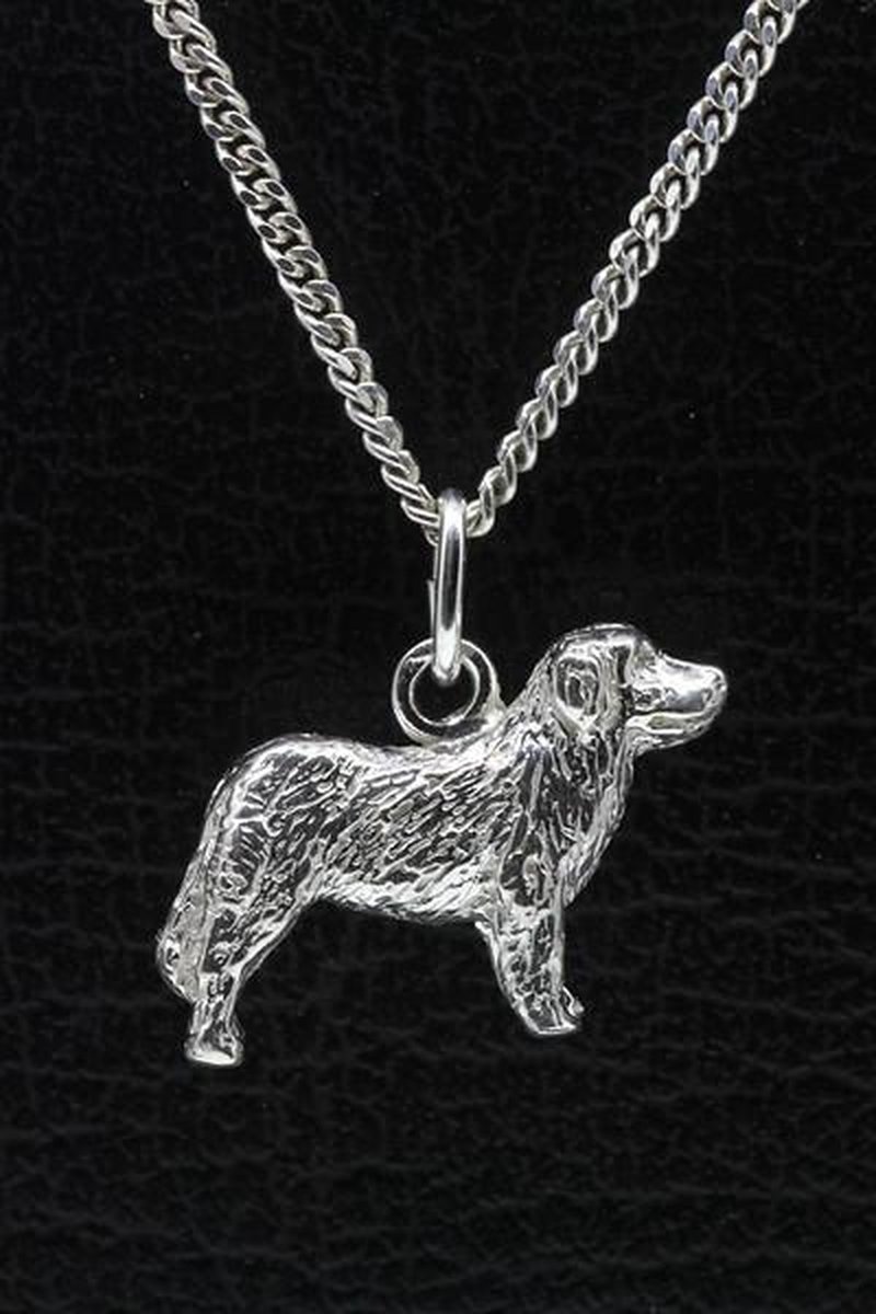 Zilveren Landseer ketting hanger - groot