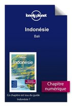 Guide de voyage - Indonésie - Bali