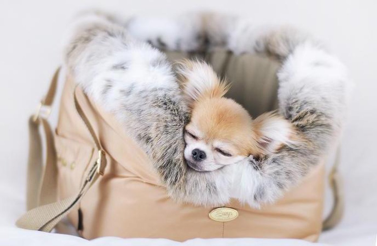 Grit Vermelding Woud Suzy's Luxe Hondentas voor honden 5kg- Cupido Puppy Draagtas-Beige | bol.com