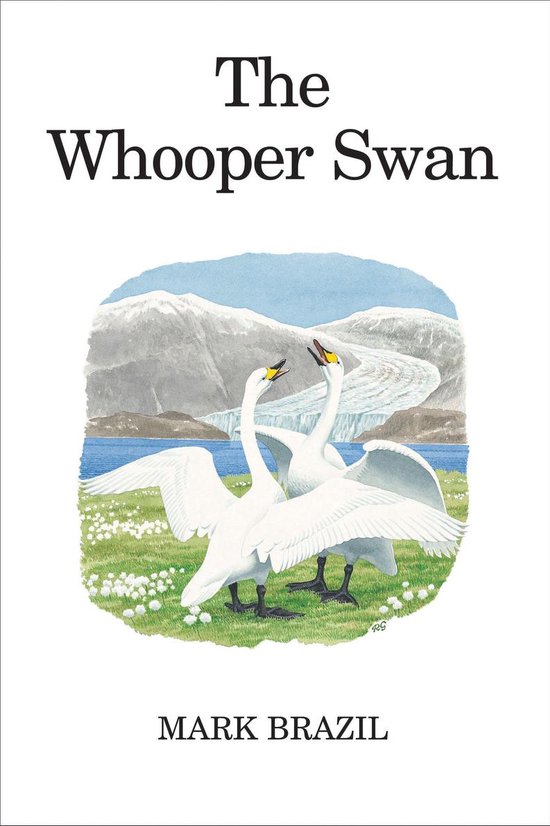 Boekomslag met twee witte knobbelzwanen met open snavels op een bloeiende wei, met een berglandschap en gletsjer op de achtergrond. Titel: The Whooper Swan.