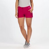 Regatta Highton Korte Broek Dames, dark cerise Maat 14 | 40