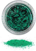 Chunky Glitter poeder mix Grass Green partyXplosion (5gram!)