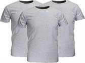 Fruit Of The Loom Blanco Katoenen T-Shirts 3 stuks pakket Grijs Gemeleerd, Maat:  S