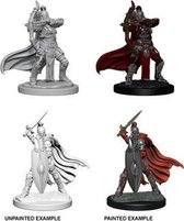 Pathfinder Battles Deep Cuts Unpainted Miniatures - Female Knights / Gray Maidens