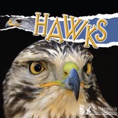 Raptors - Hawks