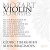 Ibragimova Tiberghien - Violin Sonatas Vol.4