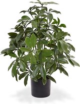 Schefflera kunstplant 50 cm anti-UV