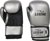 Legend Sports PU Kinder Bokshandschoenen - 1-5 jaar - Zilver - 2 oz