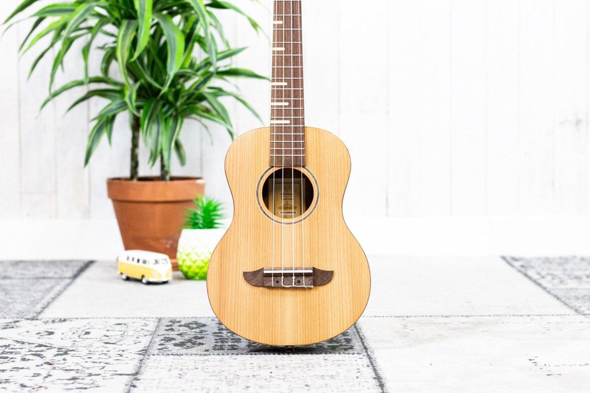 Ortega RUTI-TE Timber Series Tenor