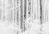 Komar Winter Wood Vlies Fotobehang 400x280cm 4-banen
