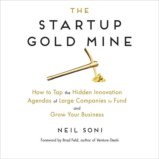 The Startup Gold Mine - cover