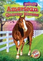 Saddle Up! - American Quarter Horses