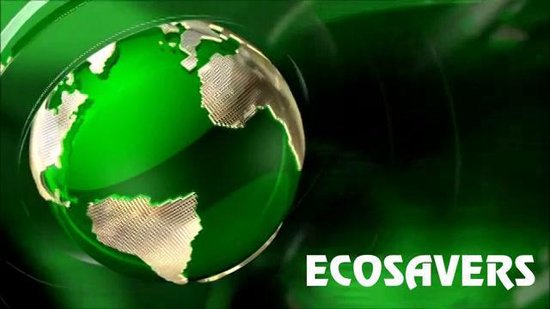 EcoSavers