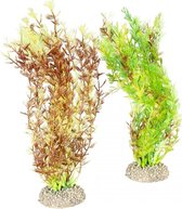 Auqa Della Plant egeria densa Gemengde kleuren M - height 25cm, PER STUK !! GEEN KEUZE MOGELIJK !