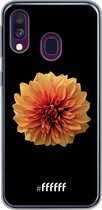 Samsung Galaxy A50 Hoesje Transparant TPU Case - Butterscotch Blossom #ffffff