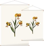 Turkse Lelie (Martagon Lily White) - Foto op Textielposter - 120 x 180 cm