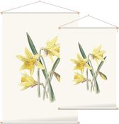 Gele Narcis (Daffodil) - Foto op Textielposter - 90 x 135 cm
