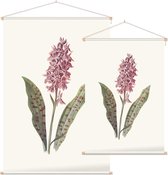 Orchis (Orchis) - Foto op Textielposter - 90 x 135 cm