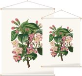 Weigela Heester Aquarel (Weigela) - Foto op Textielposter - 60 x 80 cm