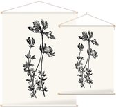 Rolklaver zwart-wit (Birds-Foot Trefoil) - Foto op Textielposter - 45 x 60 cm