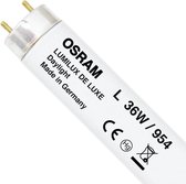 Osram L 36 W/954-1 fluorescente lamp