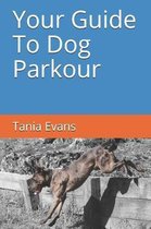 Your Guide to Dog Parkour