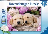 Ravensburger puzzel Schattige hondje in mand - legpuzzel - 300 stukjes