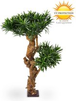 Design Plante artificielle Podocarpus 70 cm UV