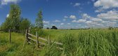 Fotobehang uiterwaarden rivier de Lek bij Lexmond 450 x 260 cm