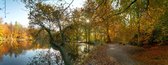 Fotobehang romantische bosvijver in de herfst 450 x 260 cm
