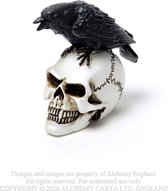 Alchemy - Raven Skull Beeld/figuur - Zwart/Creme