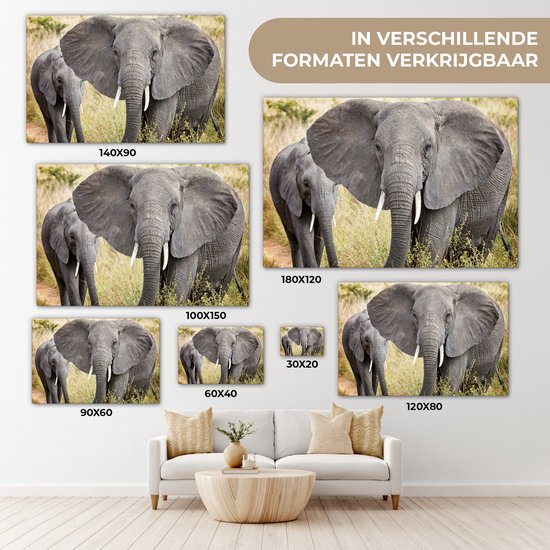 Canvas schilderij 180x120 cm - Wanddecoratie Olifant - Dieren - Gras - Natuur - Muurdecoratie woonkamer - Slaapkamer decoratie - Kamer accessoires - Schilderijen op canvas