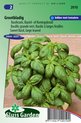 Sluis Garden - Basilicum Grove, Grootbladige (Ocimum basilicum)