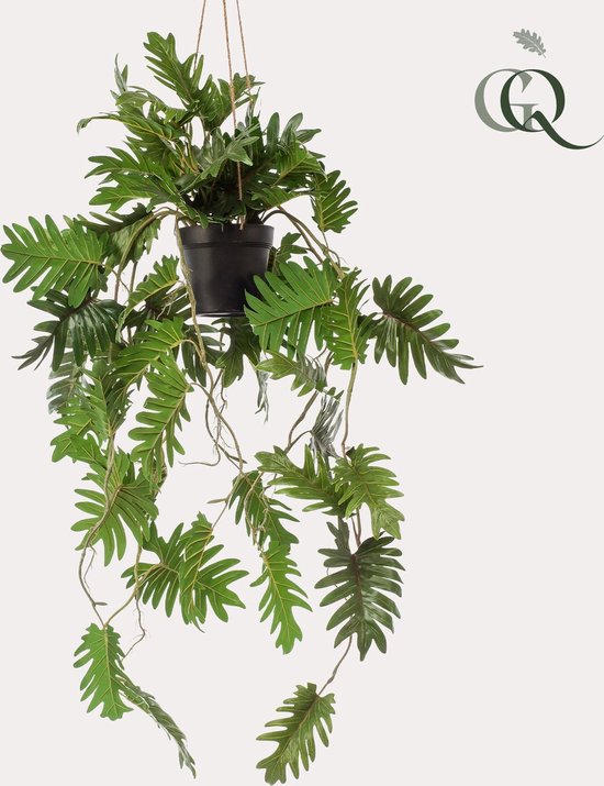 Kunstplant - Philodendron - Klimmende boomliefhebber - 80 cm