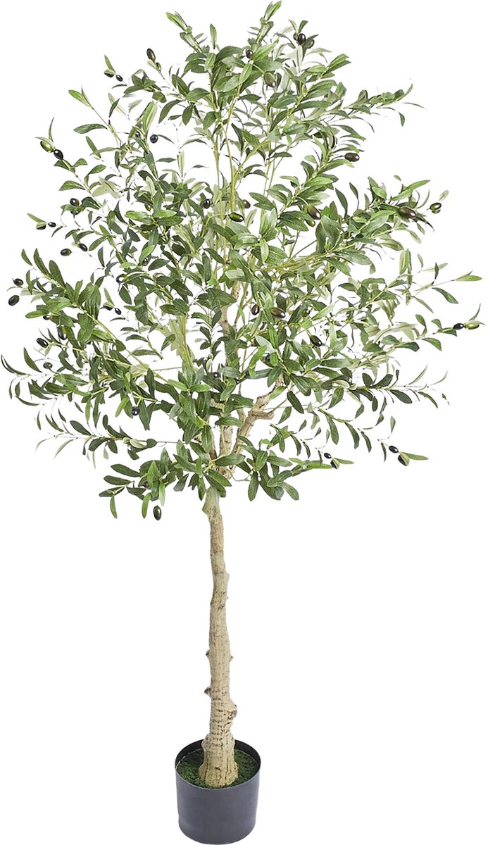 Kunstplant - Kunstboom - Olijfboom Kunst - Kunstplant voor binnen - Kunstplant voor buiten - Groen - 179cm
