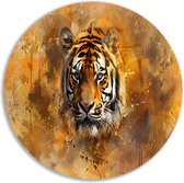 Tijger schilderij - Dieren muurcirkel - Schilderij Kleuren - Wanddecoratie modern - Schilderij - Muurkunst muurcirkel forex 80x80 cm