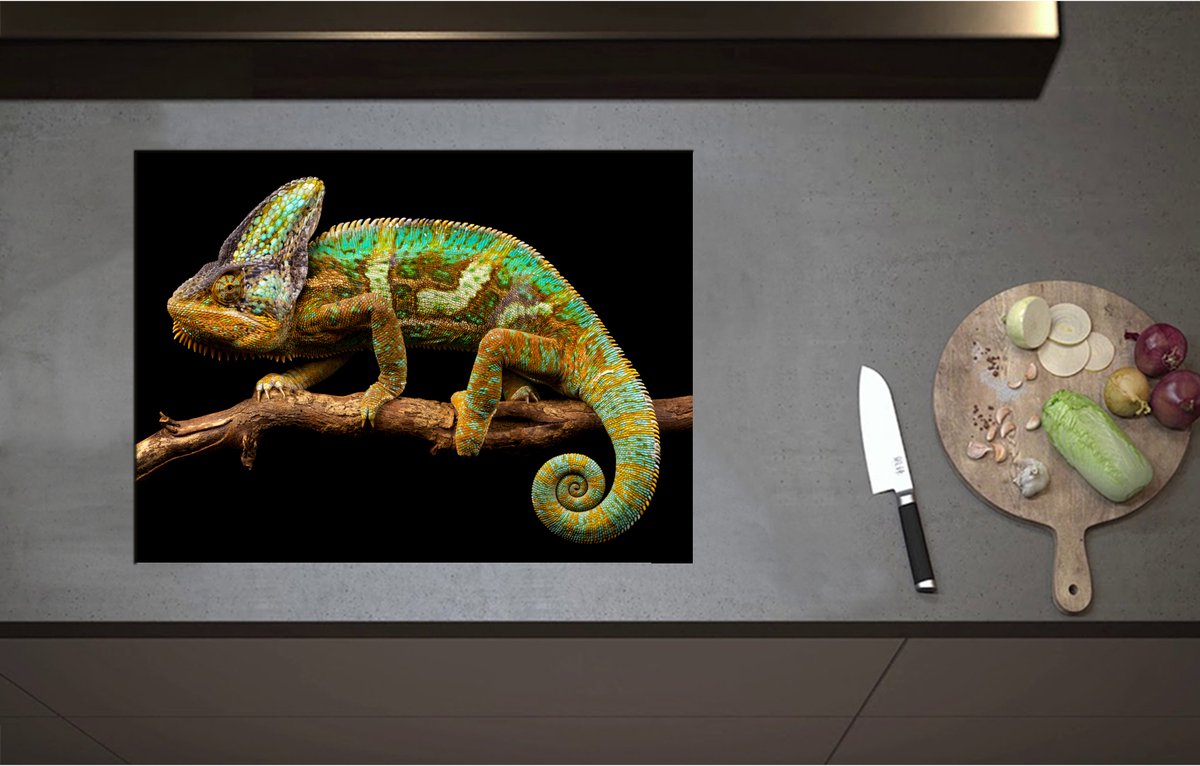 Inductieplaat Beschermer - Bruin groene kameleon staat op tak - 70x52 cm - 2 mm Dik - Inductie Beschermer - Bescherming Inductiekookplaat - Kookplaat Beschermer van Zwart Vinyl