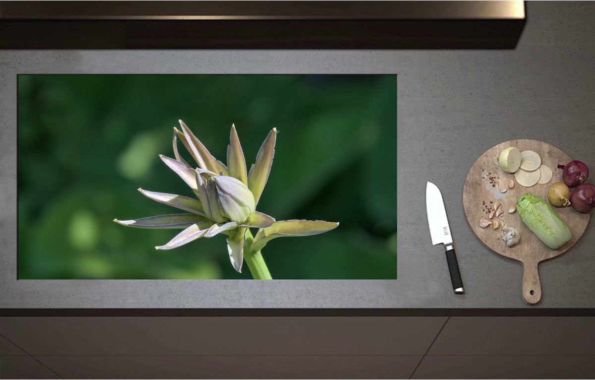 Inductieplaat Beschermer - Close Up van Paars met Groene Hosta Bloem - 95x52 cm - 2 mm Dik - Inductie Beschermer - Bescherming Inductiekookplaat - Kookplaat Beschermer van Wit Vinyl