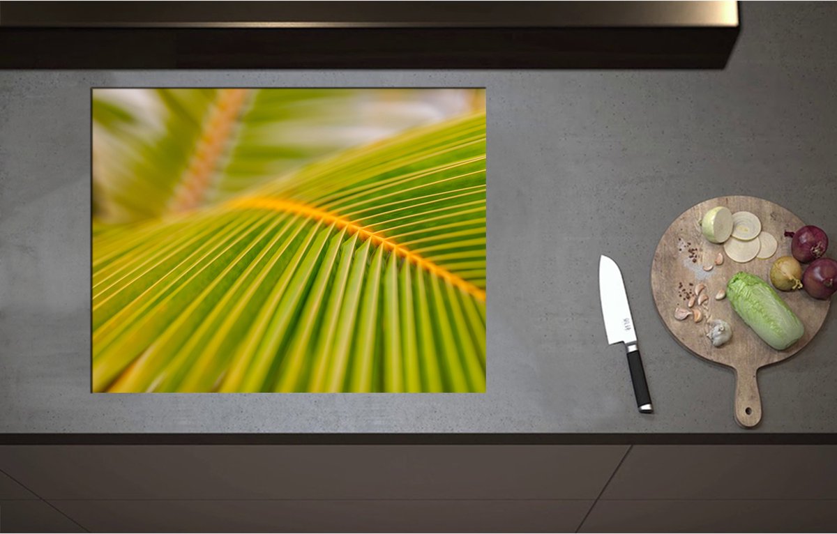 Inductieplaat Beschermer - Close-up op de Nerven van een Groot Palmblad - 71x55 cm - 2 mm Dik - Inductie Beschermer - Bescherming Inductiekookplaat - Kookplaat Beschermer van Zwart Vinyl