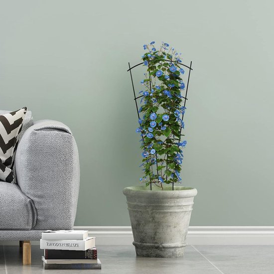 Lot De 6 Tuteurs Pour Plantes D'intérieur - Forme éventail, Vert, Empilables, Pour Fleurs Et Vignes - 5