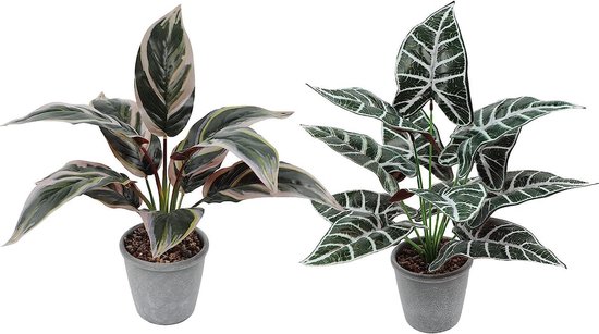 Kunstbloemen kopen? Kunstplanten koop je gemakkelijk en snel online! | Leen Bakker