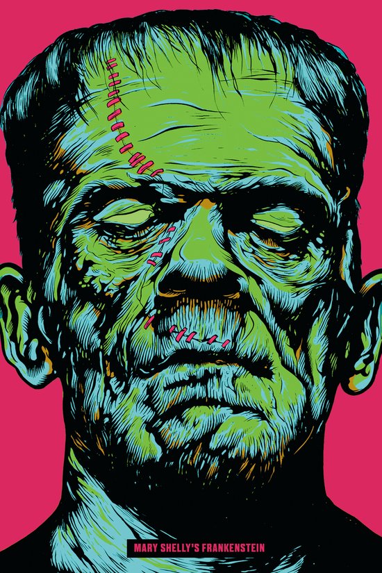 Illustration colorée du visage de Frankenstein avec des points de suture sur sa tête et sa bouche, sur fond rose. Titre : MARY SHELLY'S FRANKENSTEIN.